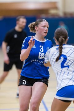 Bild 199 - wAJ TSV Ellerau - HSG Pinnau : Ergebnis: 28:13